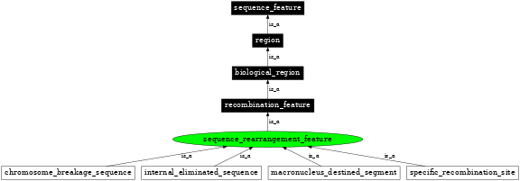 Graph image for SO:0000669