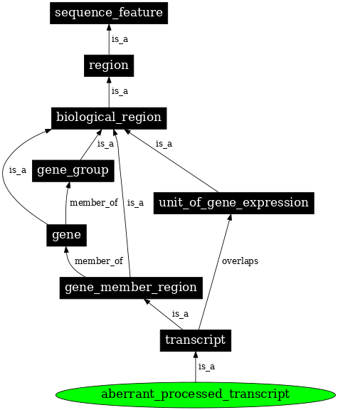 Graph image for SO:0000681