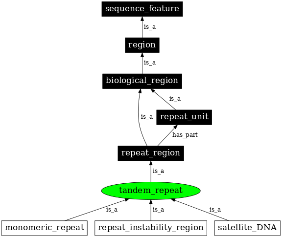 Graph image for SO:0000705