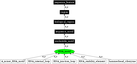 Graph image for SO:0000715