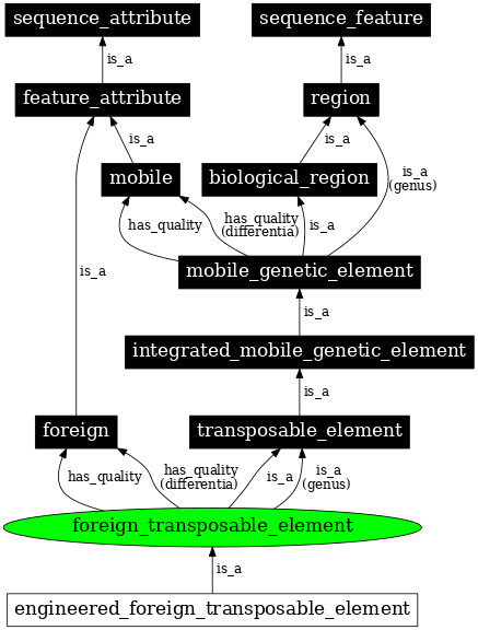 Graph image for SO:0000720