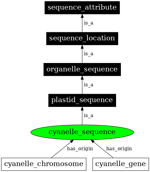 Graph image for SO:0000746