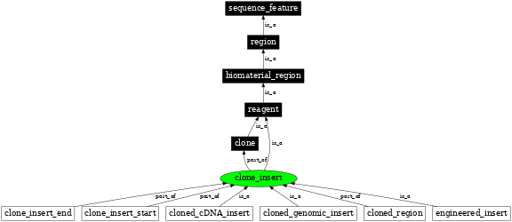 Graph image for SO:0000753