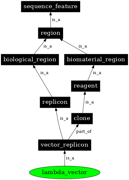 Graph image for SO:0000754