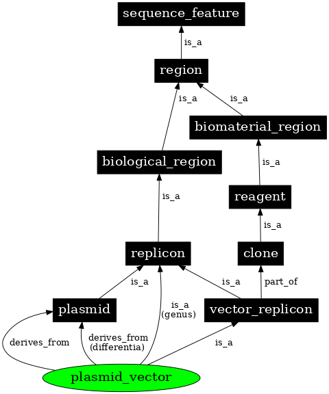 Graph image for SO:0000755