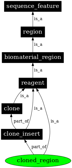 Graph image for SO:0000785