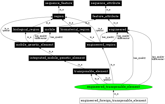 Graph image for SO:0000798