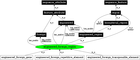 Graph image for SO:0000805