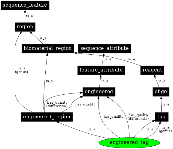 Graph image for SO:0000807