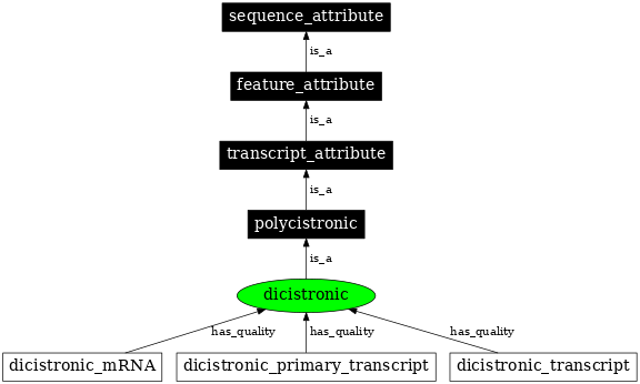 Graph image for SO:0000879