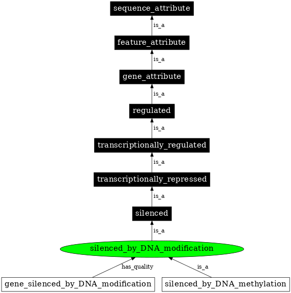 Graph image for SO:0000894