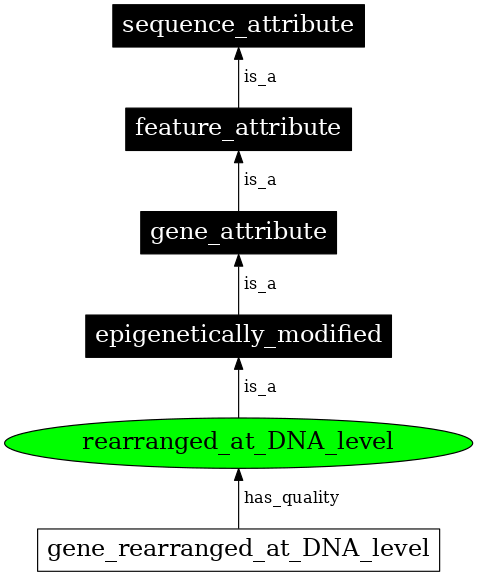 Graph image for SO:0000904