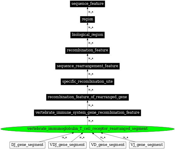 Graph image for SO:0000936