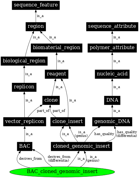 Graph image for SO:0000992