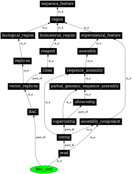 Graph image for SO:0000999