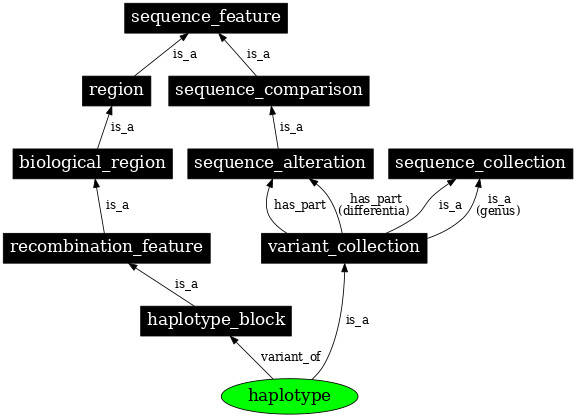 Graph image for SO:0001024