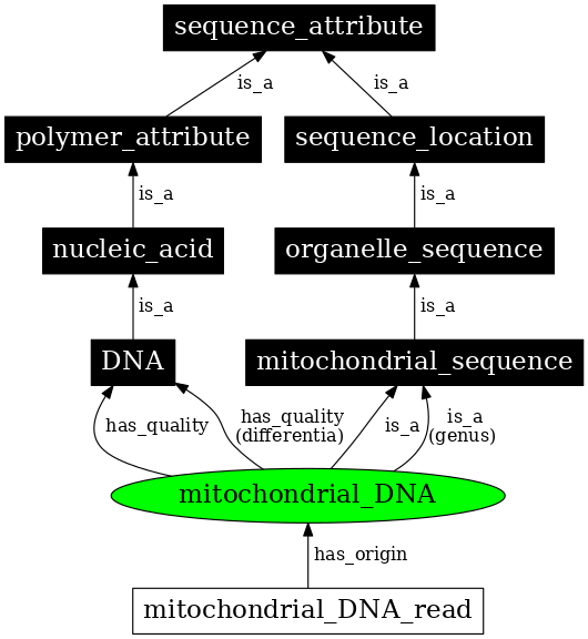 Graph image for SO:0001032