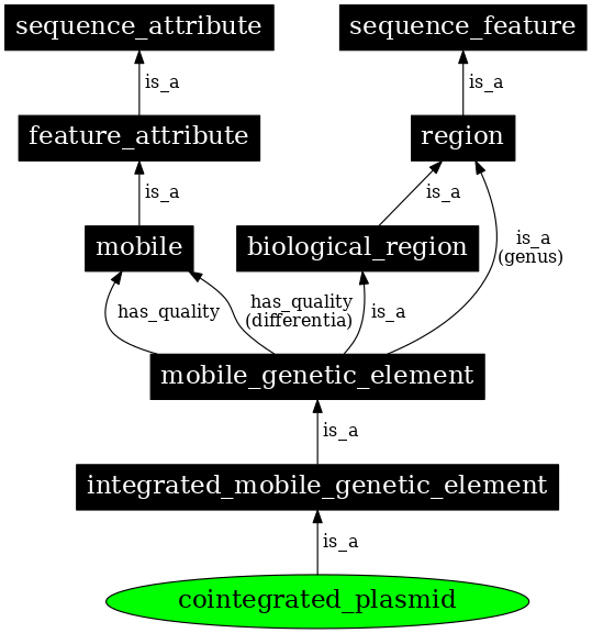 Graph image for SO:0001045