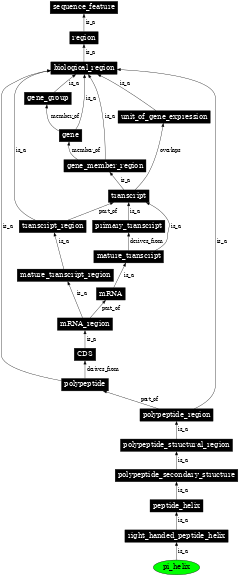 Graph image for SO:0001118