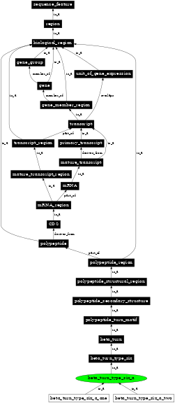 Graph image for SO:0001151