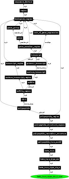 Graph image for SO:0001152