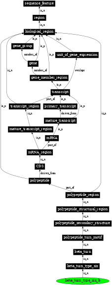 Graph image for SO:0001154