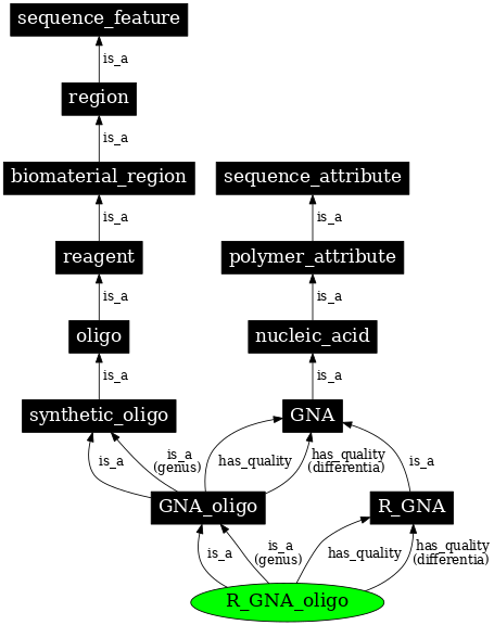 Graph image for SO:0001195