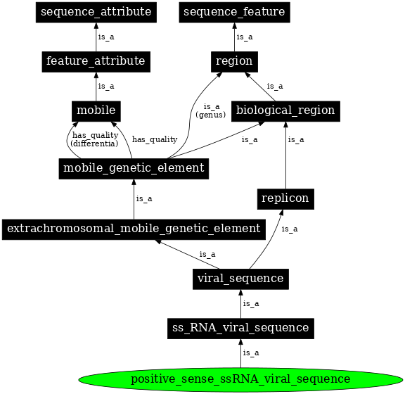 Graph image for SO:0001201