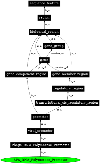 Graph image for SO:0001205