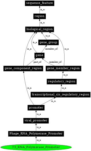 Graph image for SO:0001206