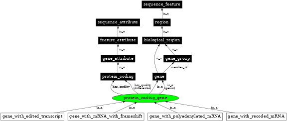 Graph image for SO:0001217