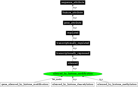 Graph image for SO:0001221