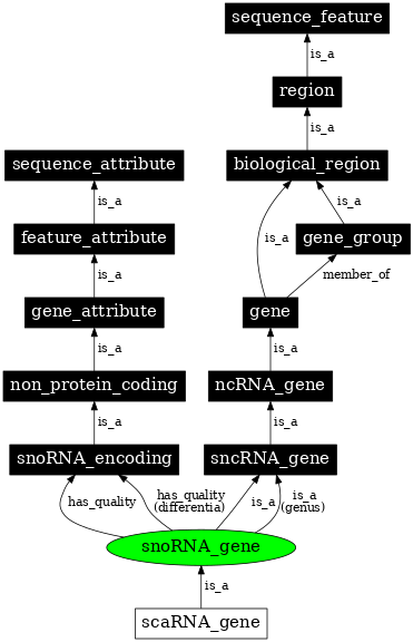 Graph image for SO:0001267