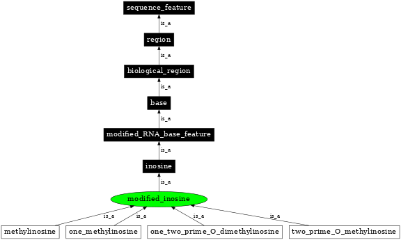 Graph image for SO:0001274