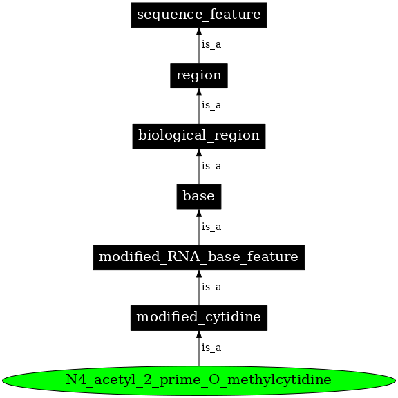 Graph image for SO:0001288