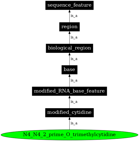 Graph image for SO:0001294