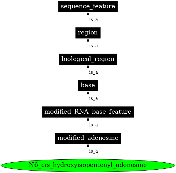 Graph image for SO:0001302