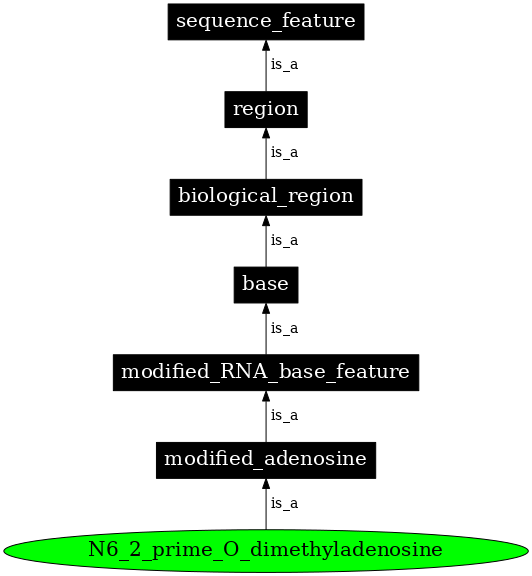 Graph image for SO:0001312