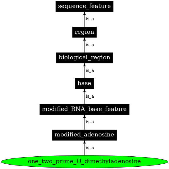 Graph image for SO:0001314