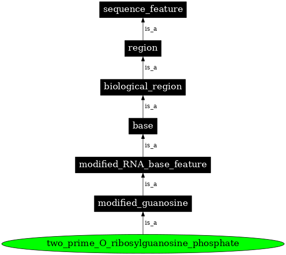 Graph image for SO:0001331