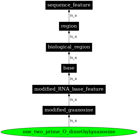 Graph image for SO:0001340