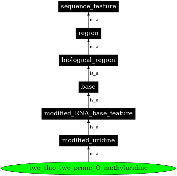 Graph image for SO:0001352