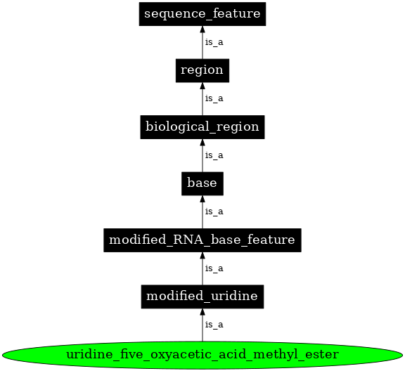 Graph image for SO:0001357