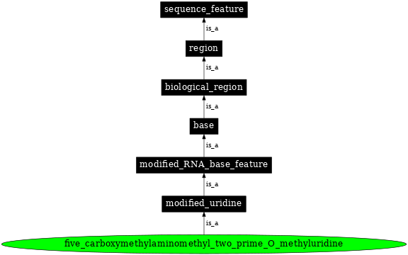 Graph image for SO:0001370