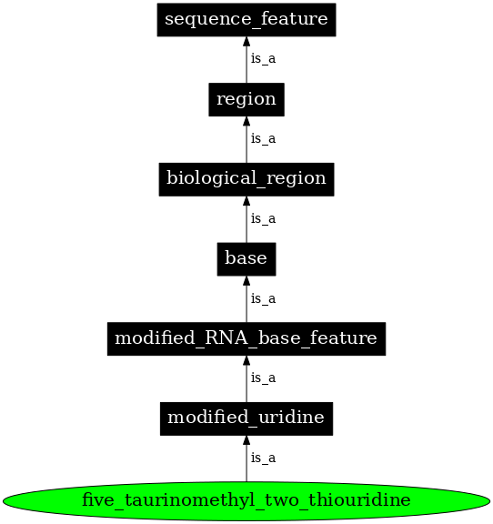 Graph image for SO:0001379