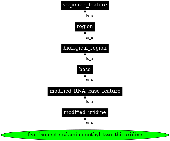 Graph image for SO:0001381