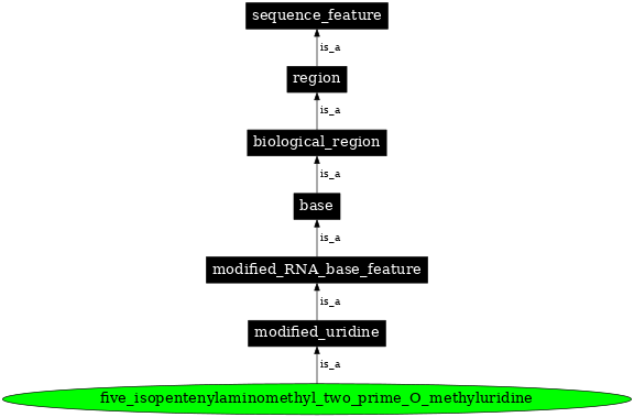 Graph image for SO:0001382