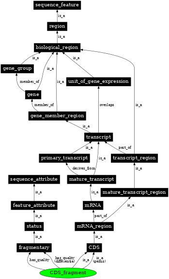 Graph image for SO:0001384