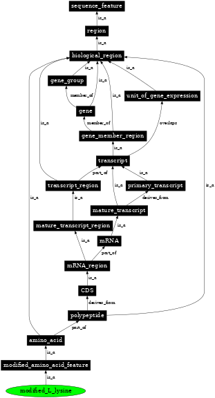 Graph image for SO:0001400