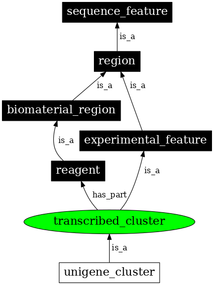 Graph image for SO:0001457